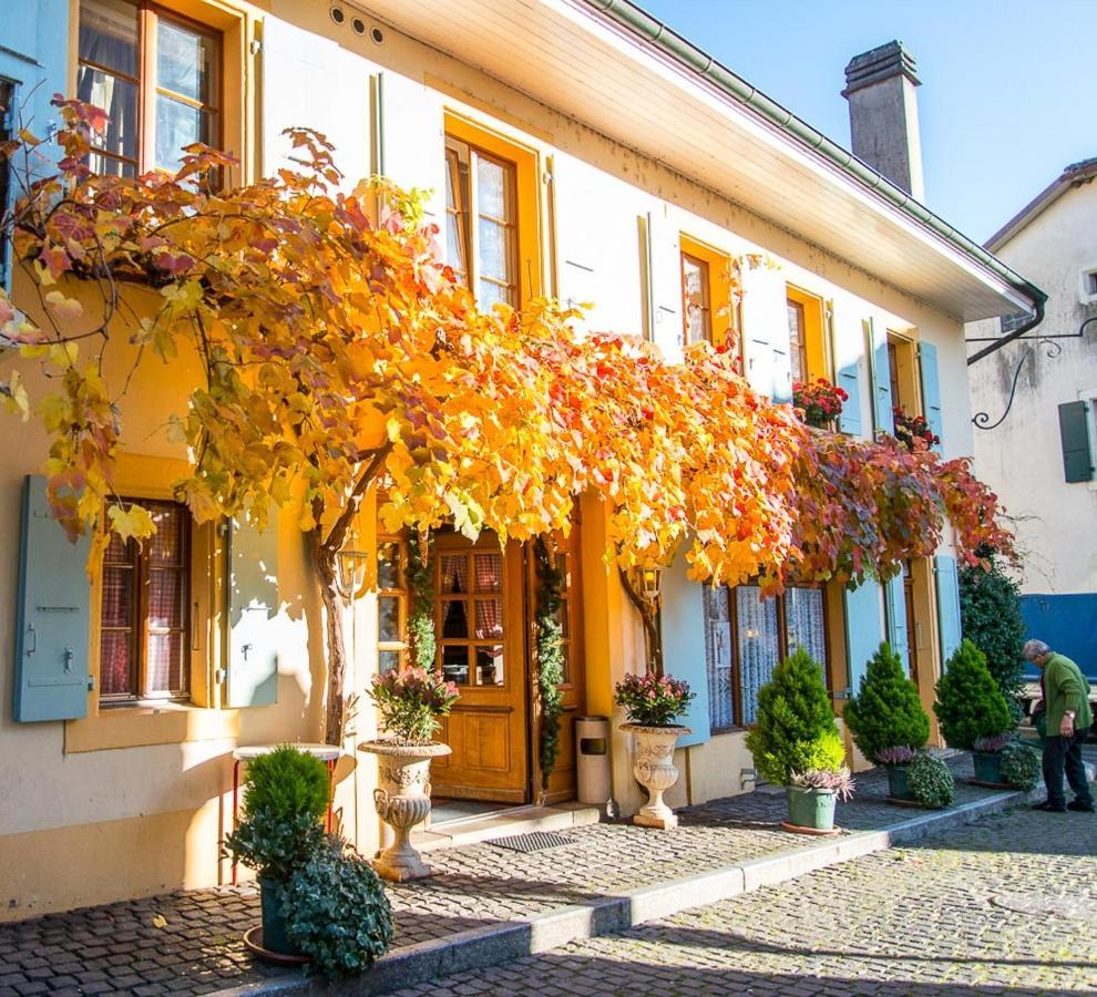 Apartmán Le Cinquante Quatre Perroy Exteriér fotografie